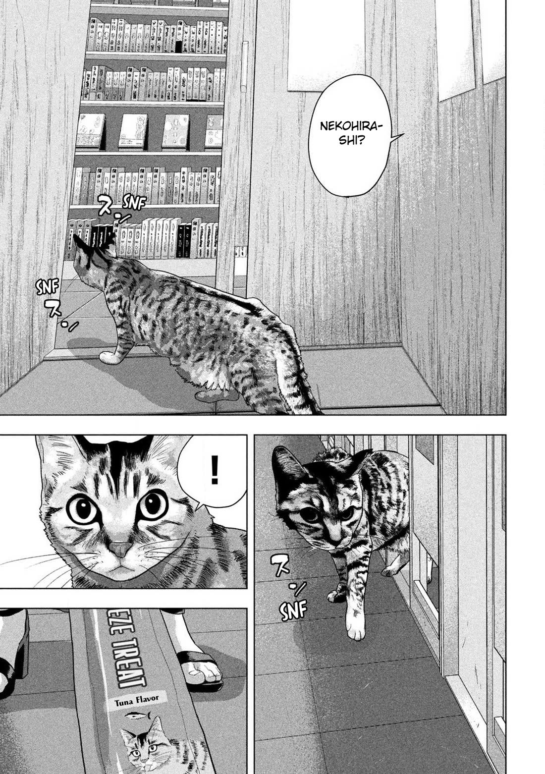 Under Ninja Chapter 163 page 5 - Chapter 163: Shinobu Nekohira and Four Confident Women