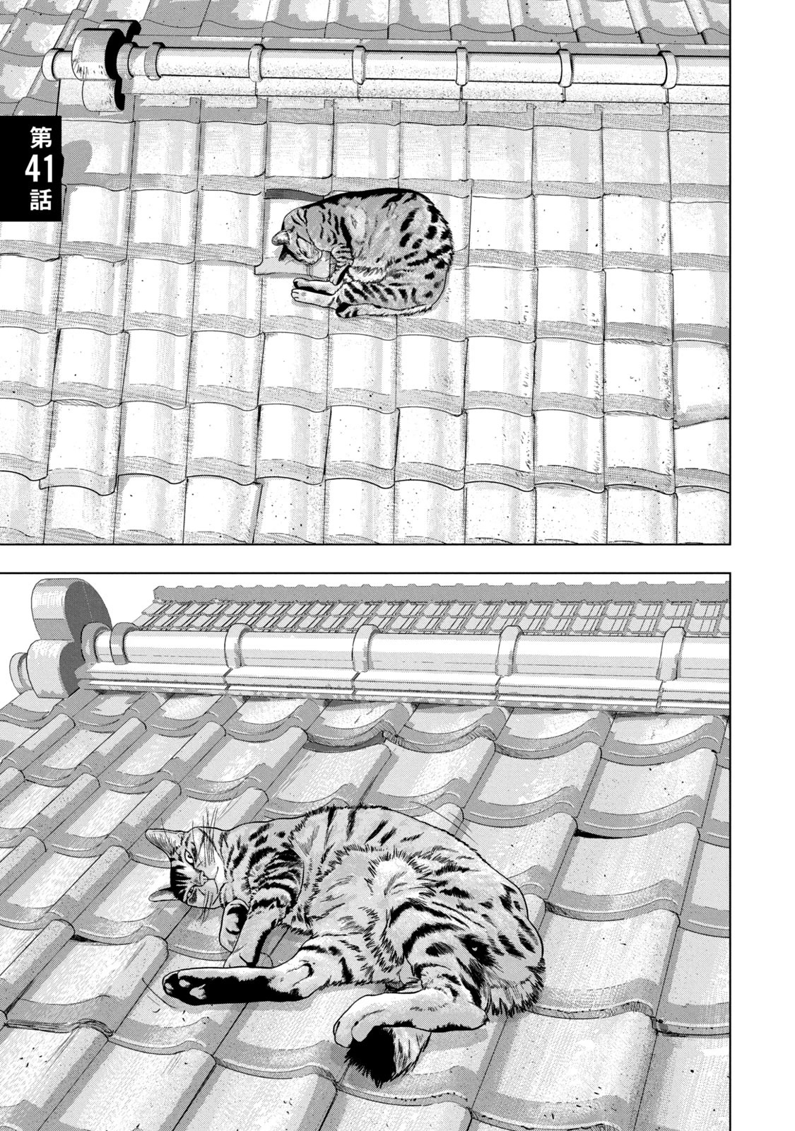 Under Ninja Chapter 41 page 1 - Chapter 41: Am I Not A Cat?