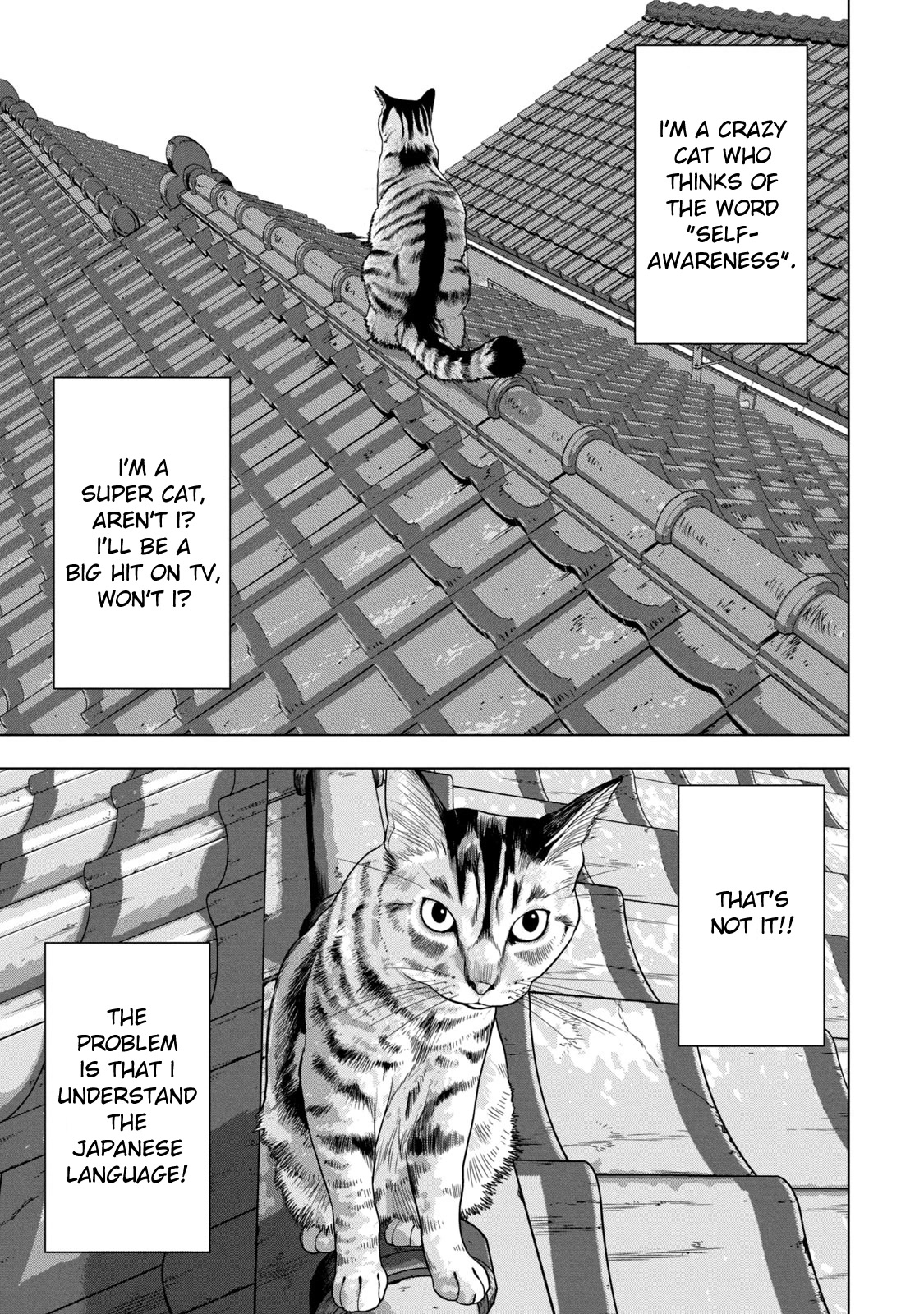 Under Ninja Chapter 41 page 3 - Chapter 41: Am I Not A Cat?