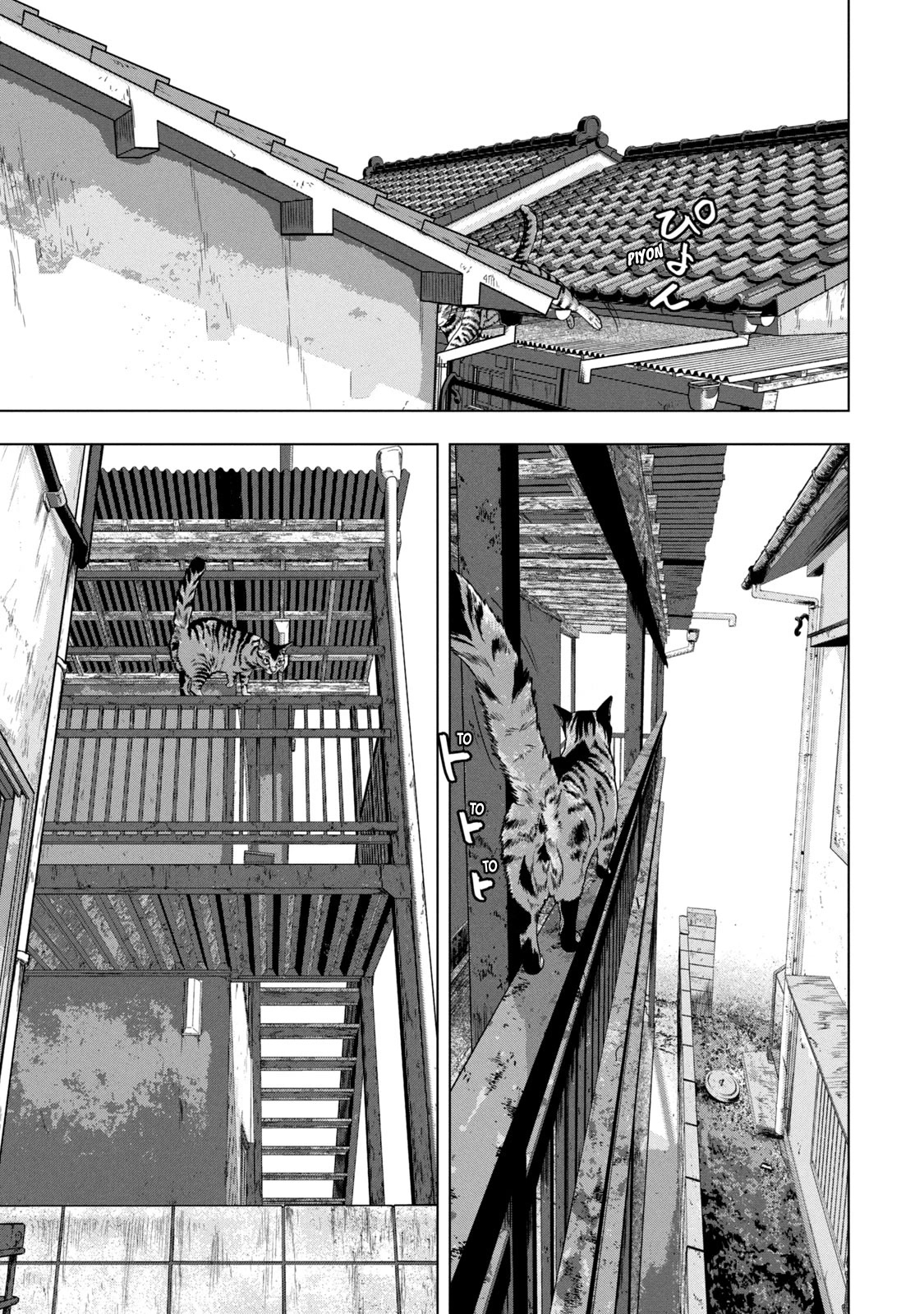Under Ninja Chapter 41 page 5 - Chapter 41: Am I Not A Cat?