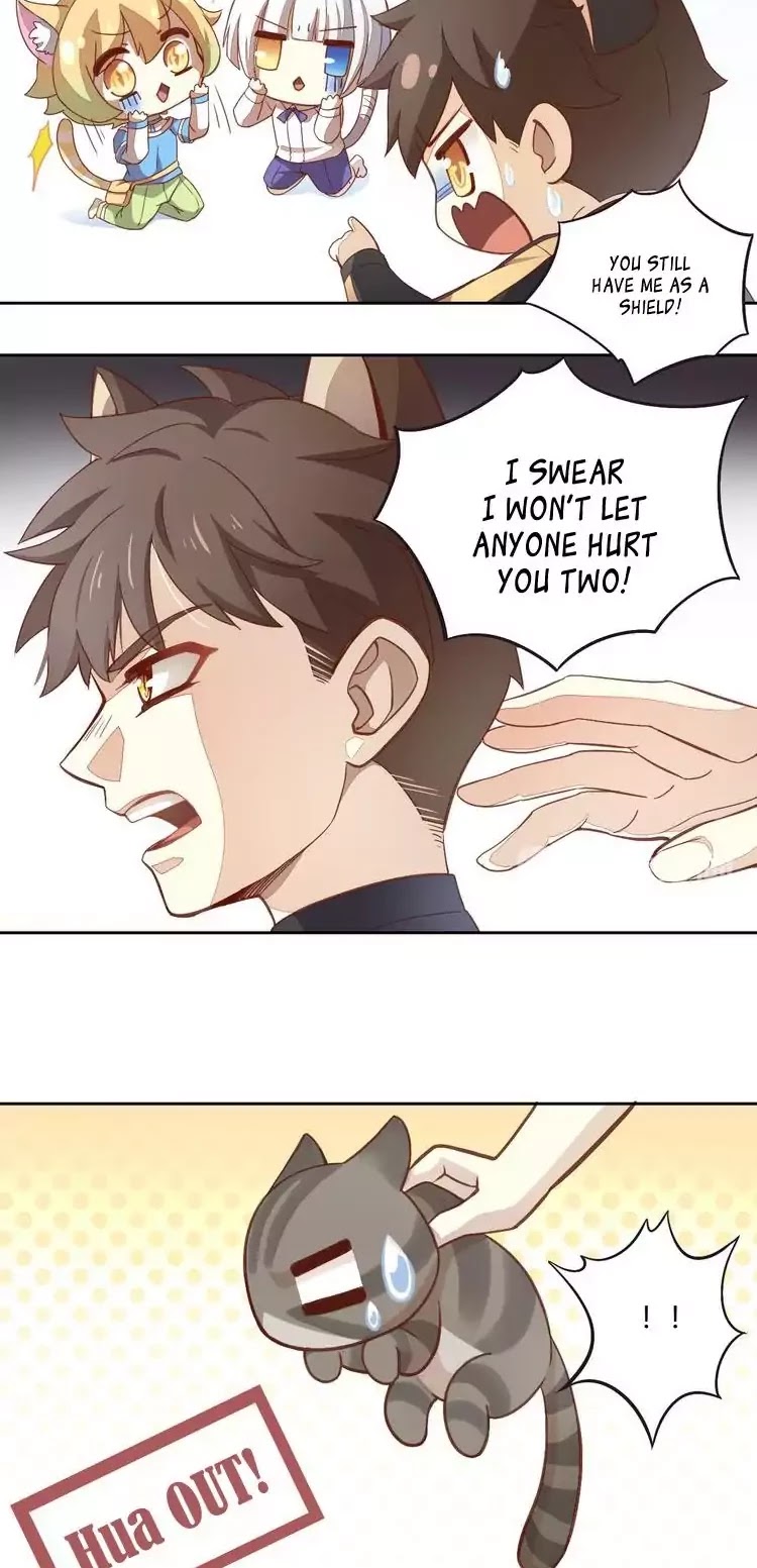 Under the Paws of Cats Chapter 1 page 15 - Chapter 1: Arrival of your Meow-jesty