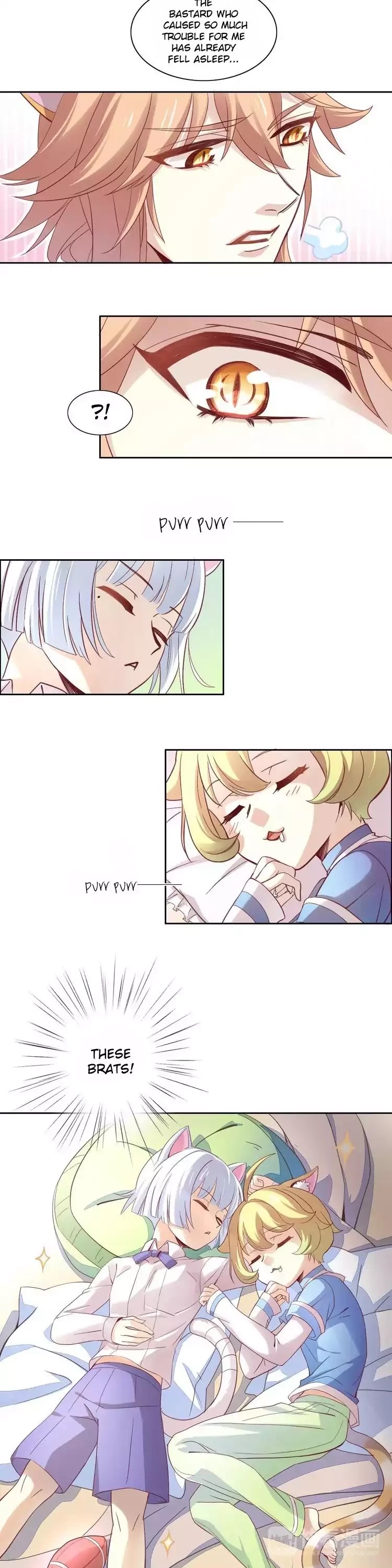 Under the Paws of Cats Chapter 1 page 19 - Chapter 1: Arrival of your Meow-jesty