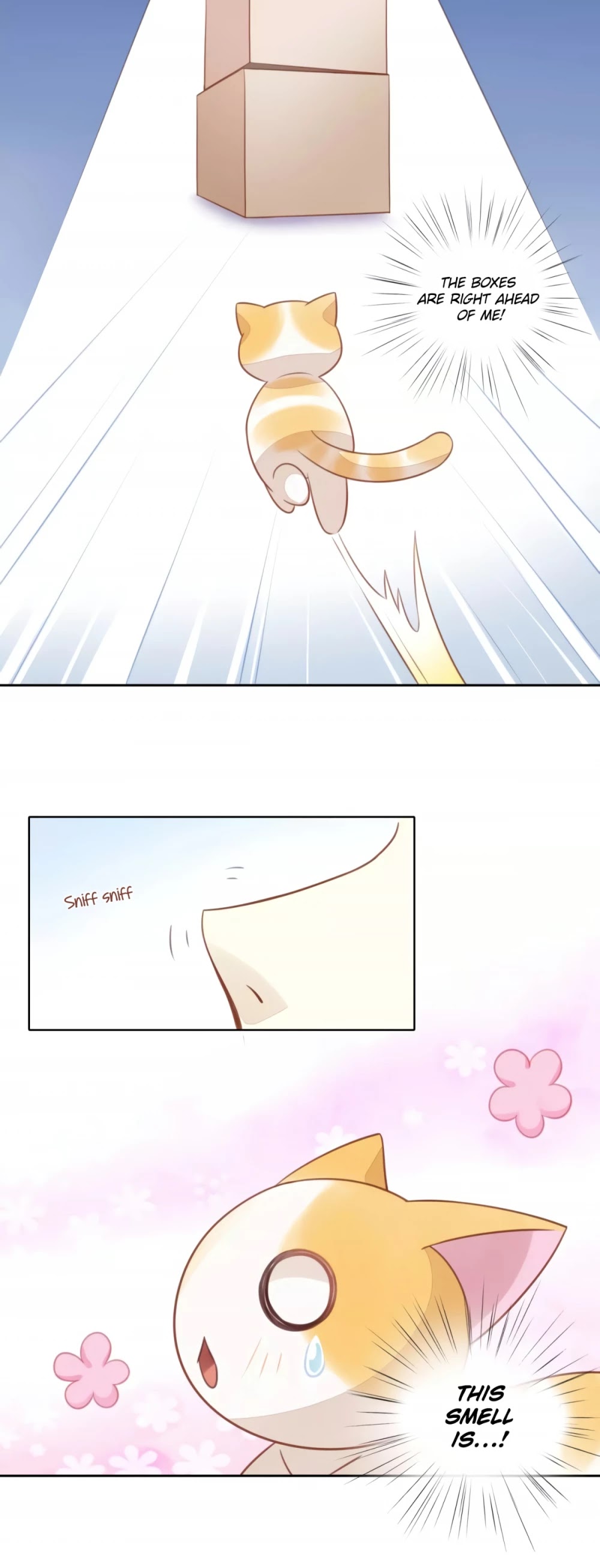Under the Paws of Cats Chapter 12 page 16 - Chapter 12: The Battle for the Cardboard Boxes!
