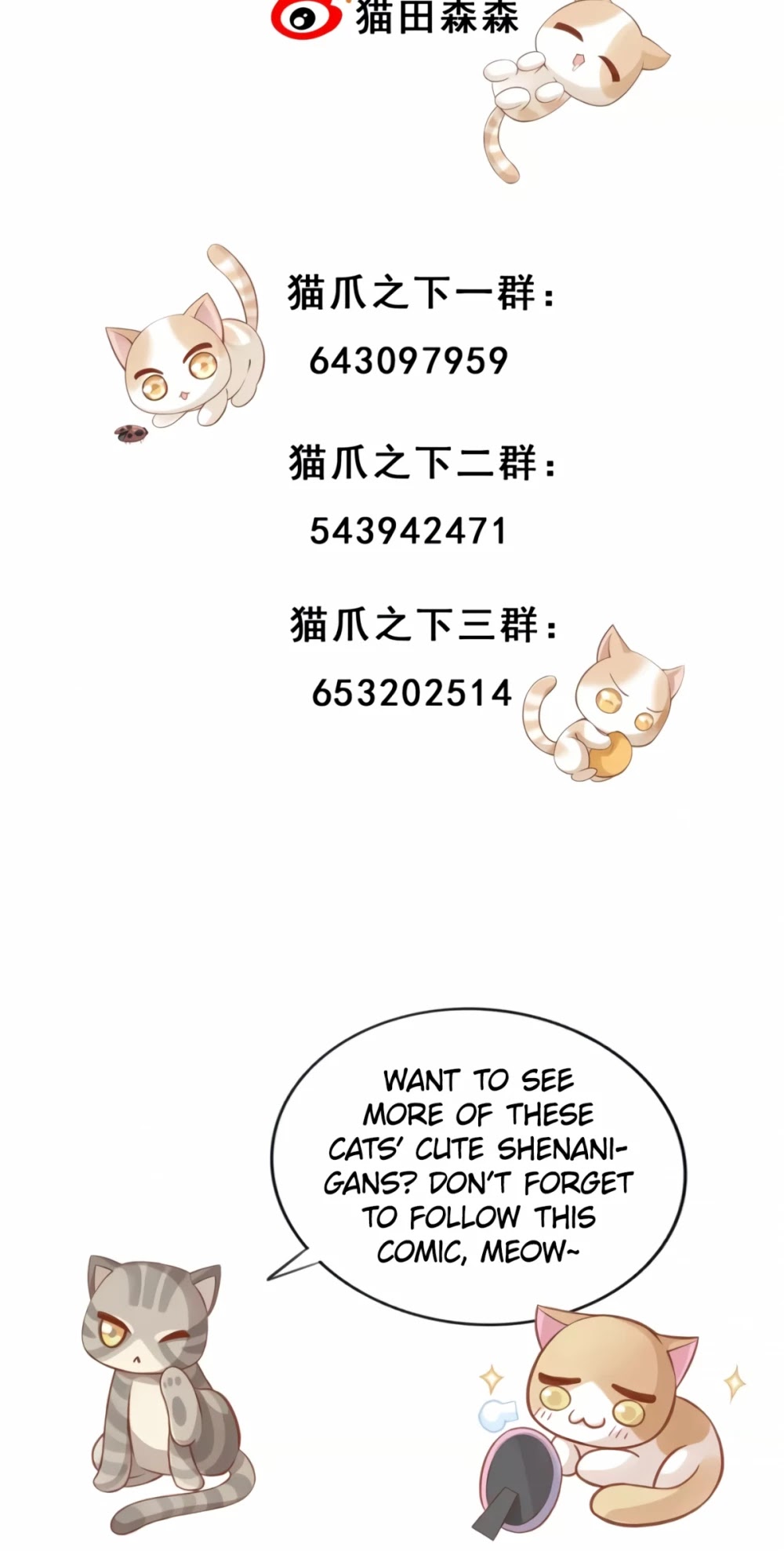 Under the Paws of Cats Chapter 14 page 29 - Chapter 14: A Missing Cute Pet