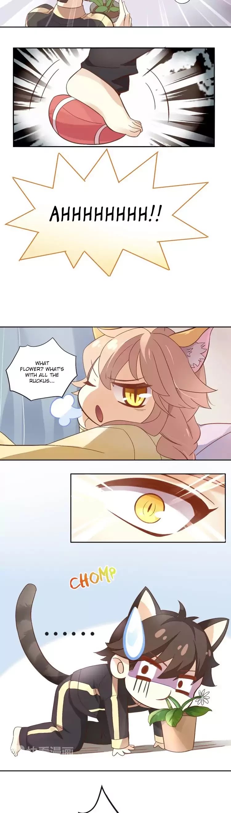 Under the Paws of Cats Chapter 2 page 17 - Chapter 2: Hua The Guardian