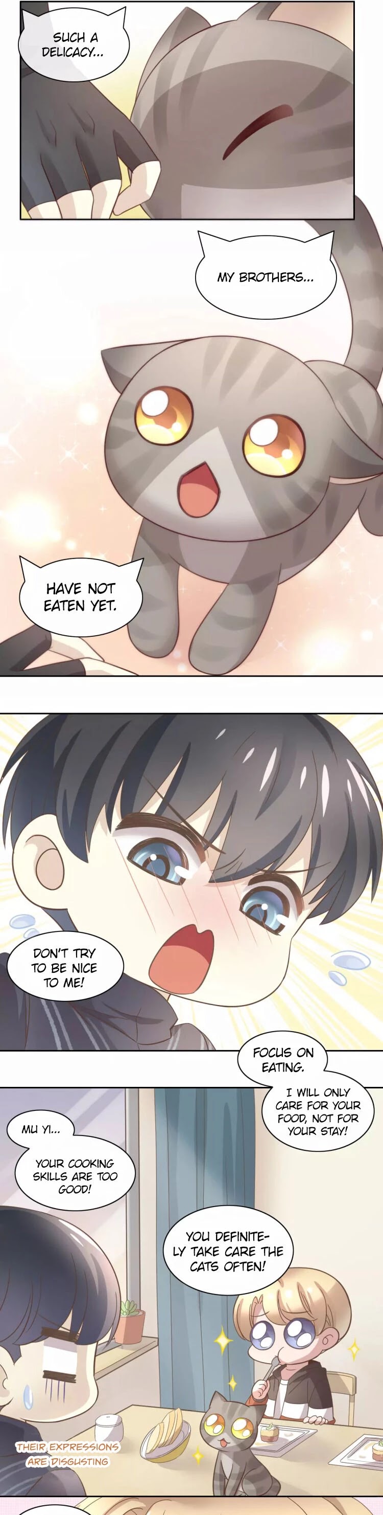 Under the Paws of Cats Chapter 24 page 16 - Chapter 24