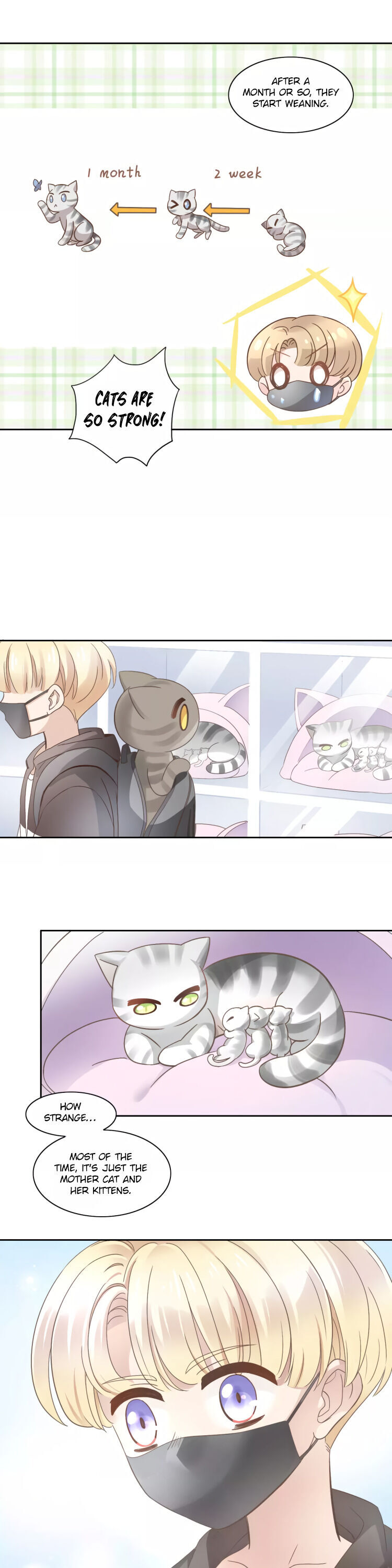 Under the Paws of Cats Chapter 27 page 11 - Chapter 27
