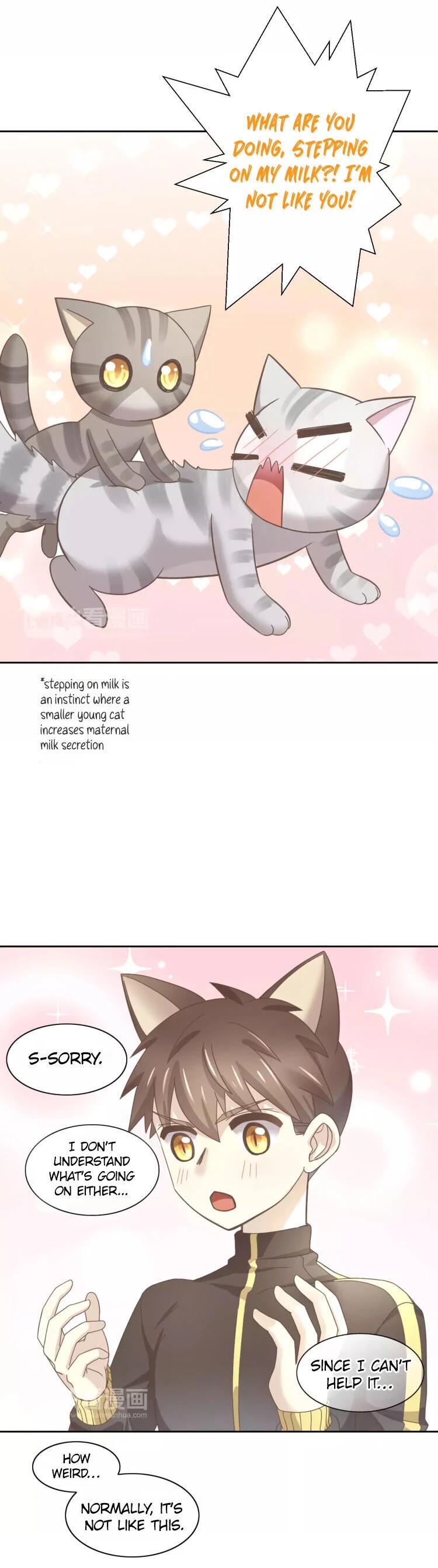 Under the Paws of Cats Chapter 28 page 13 - Chapter 28