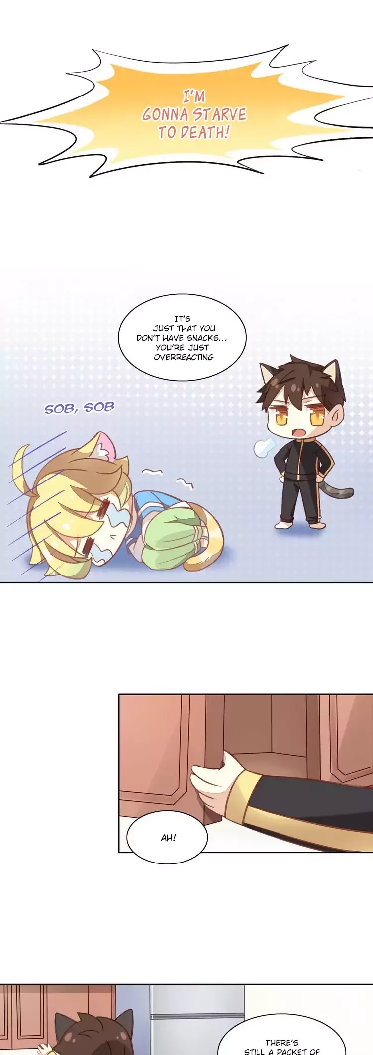 Under the Paws of Cats Chapter 6 page 4 - Chapter 6: The Consequences Of Eating All The Chili Sticks