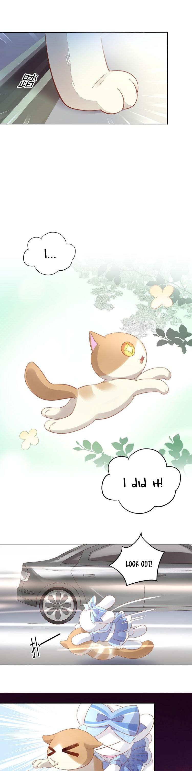 Under the Paws of Cats Chapter 7 page 16 - Chapter 7
