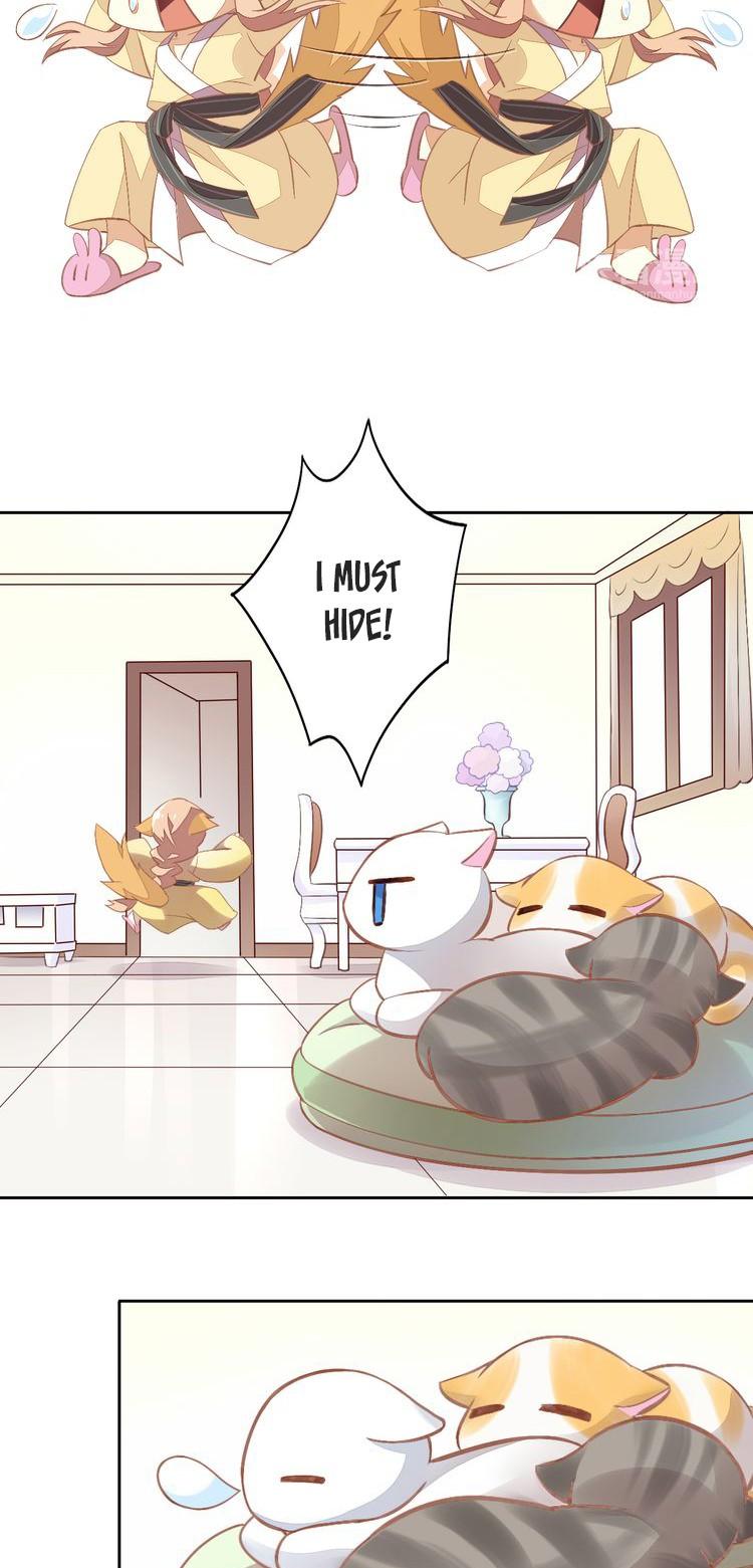 Under the Paws of Cats Chapter 7 page 4 - Chapter 7