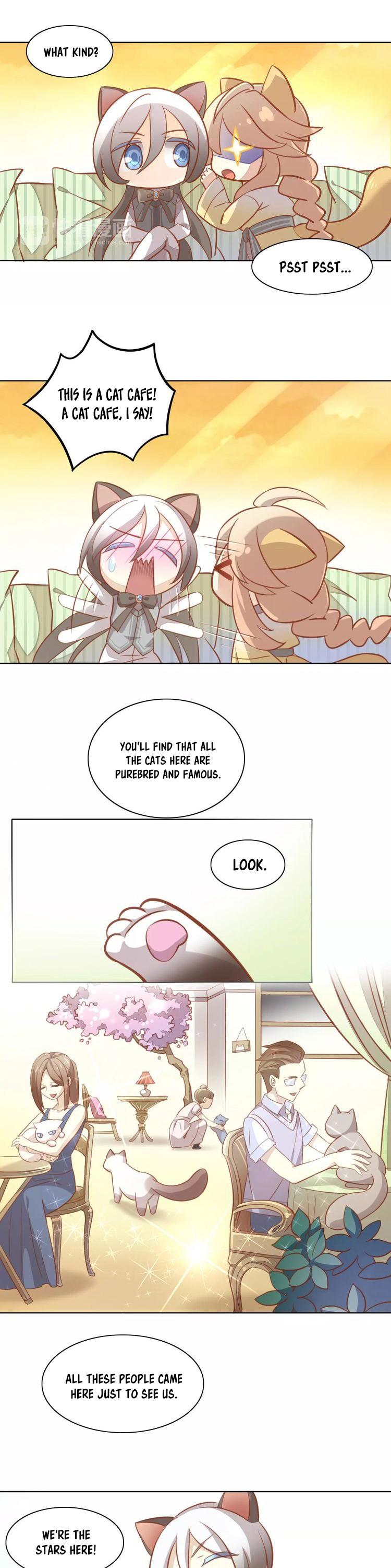 Under the Paws of Cats Chapter 8 page 12 - Chapter 8: Actually, Staying Indoors is Better