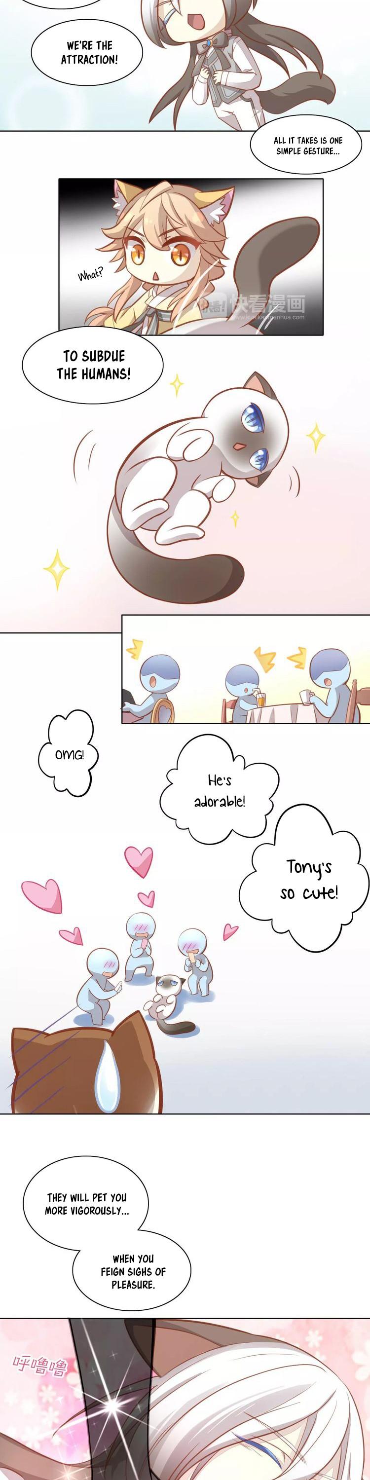 Under the Paws of Cats Chapter 8 page 13 - Chapter 8: Actually, Staying Indoors is Better