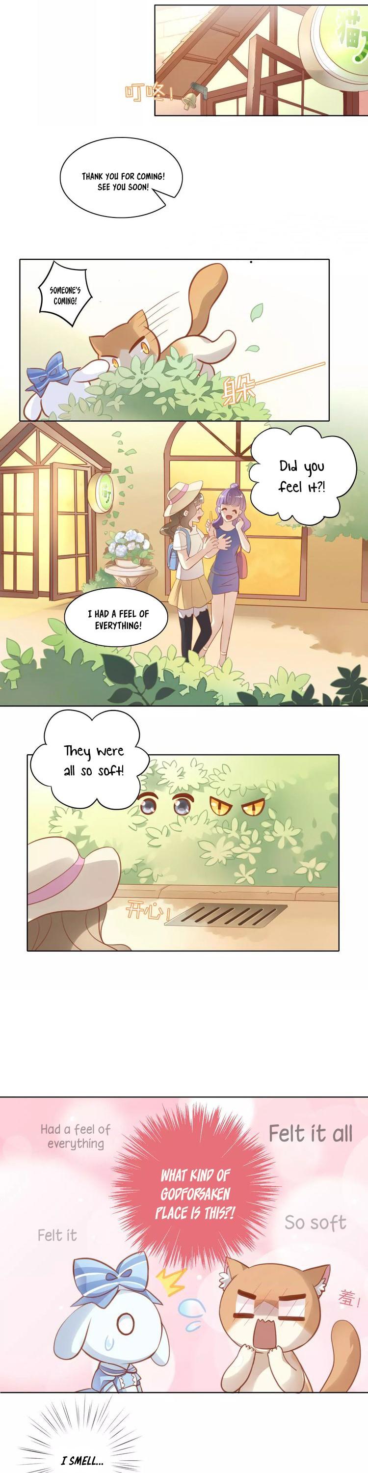 Under the Paws of Cats Chapter 8 page 4 - Chapter 8: Actually, Staying Indoors is Better