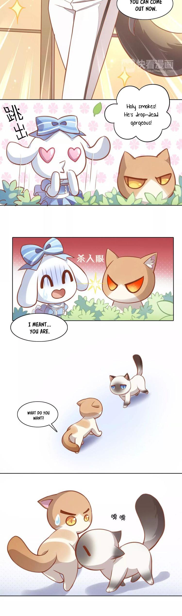 Under the Paws of Cats Chapter 8 page 6 - Chapter 8: Actually, Staying Indoors is Better