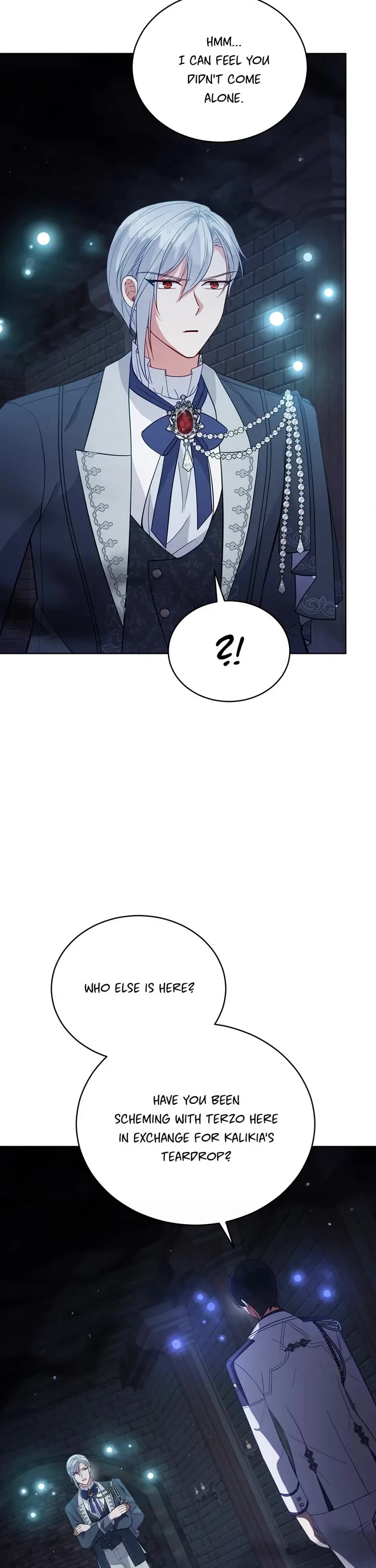 Untouchable Lady Chapter 94 page 27 - Chapter 94: Into the Forest