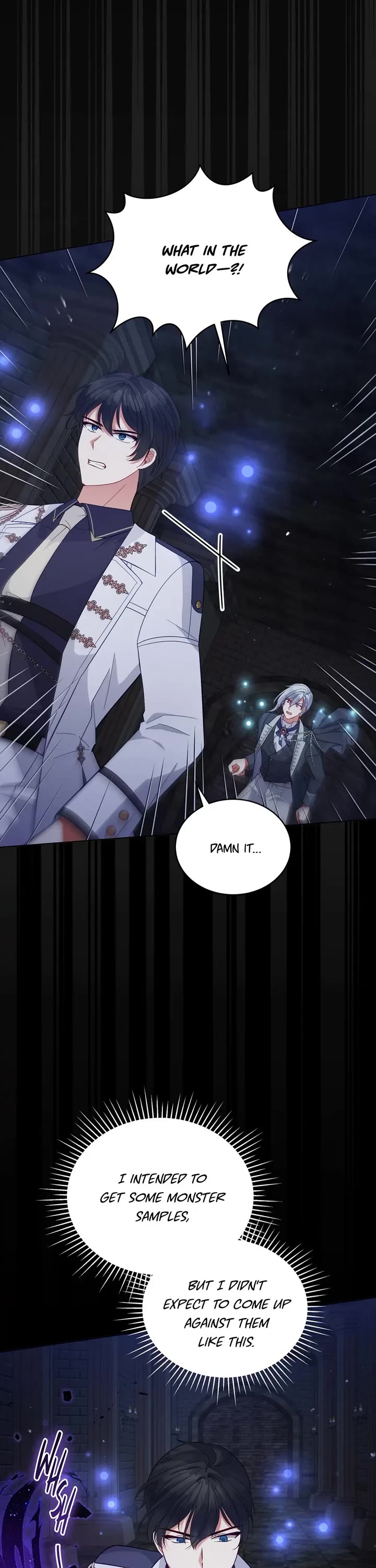 Untouchable Lady Chapter 95 page 2 - Chapter 95: Decoys