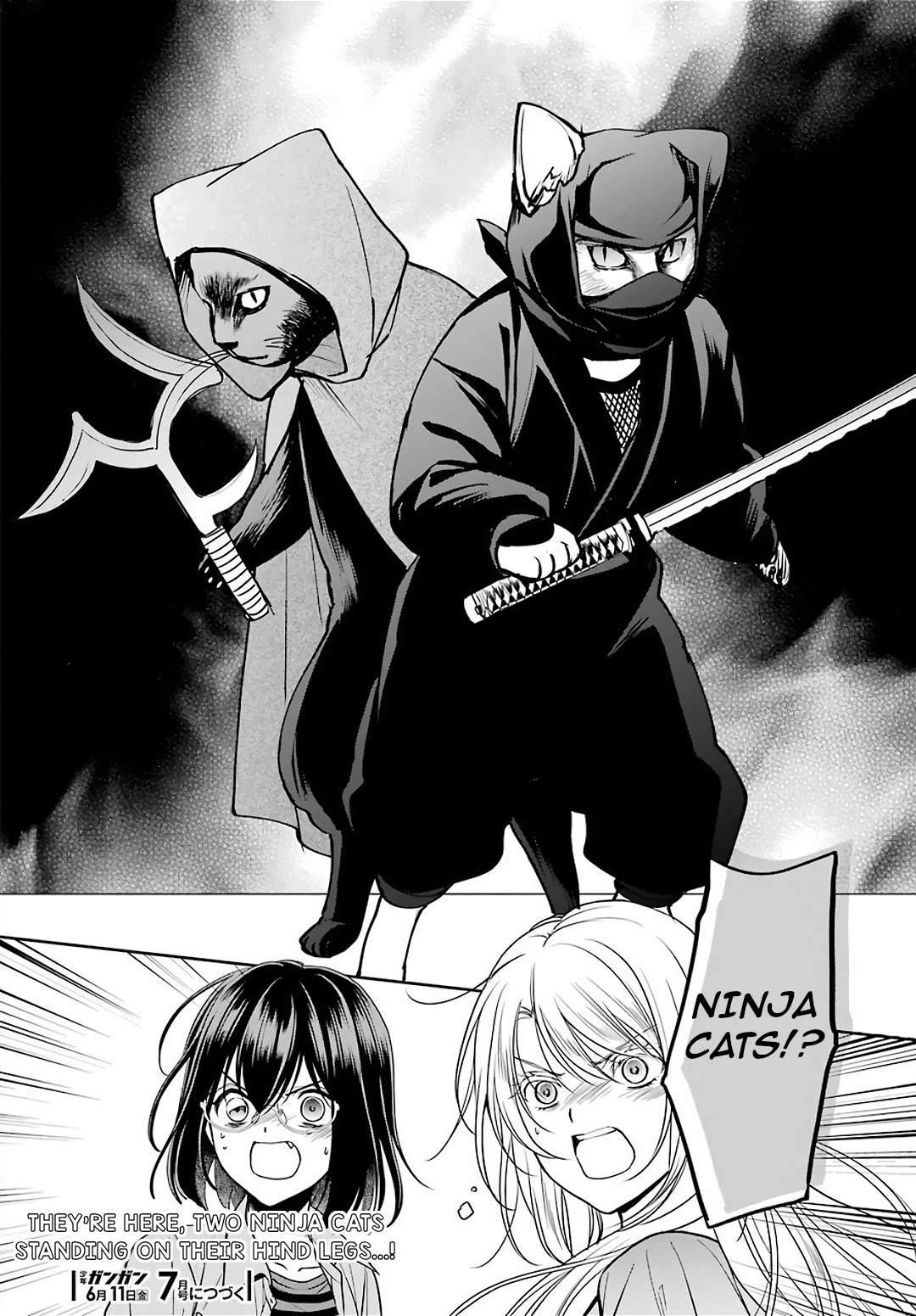 Urasekai Picnic Chapter 39 page 34 - Chapter 39: Attack of the Ninja Cats III