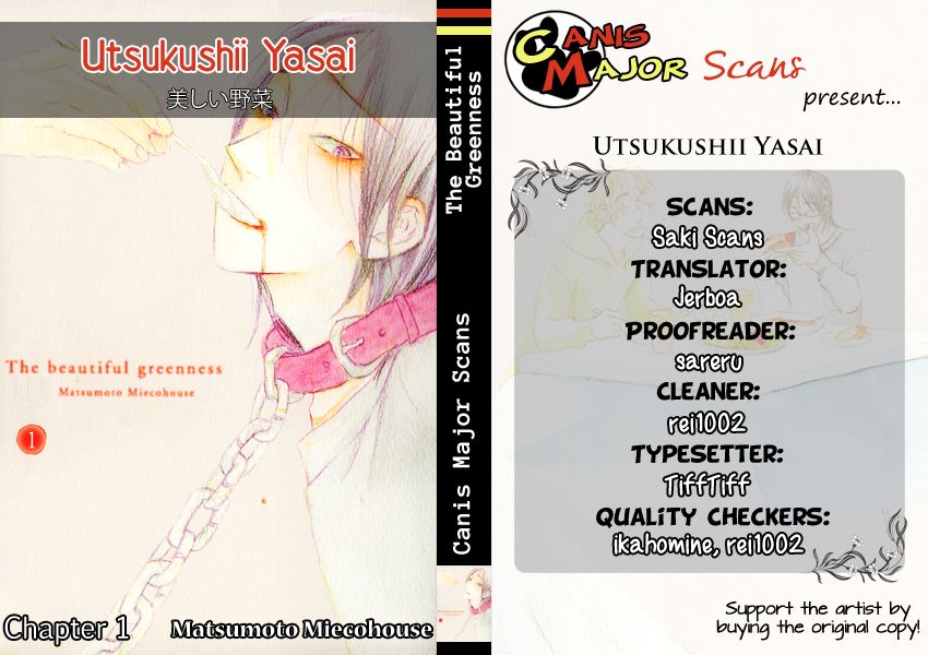Utsukushii Yasai Chapter 1 page 9 - Chapter 1
