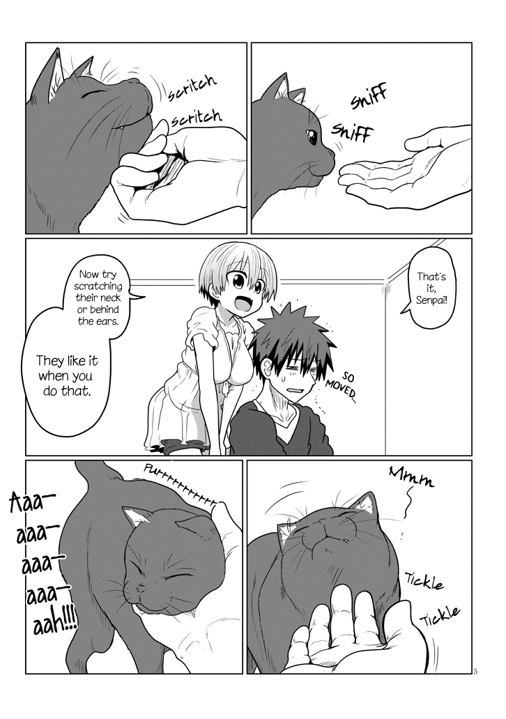 Uzaki-chan wa Asobitai! Chapter 21 page 5 - Chapter 21: Kouhai and Cat Cafe