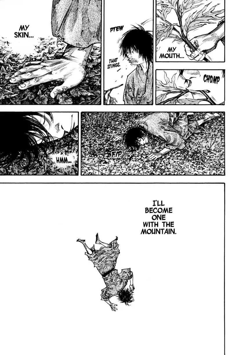 Vagabond manga, chapter 207, page 14 of 29