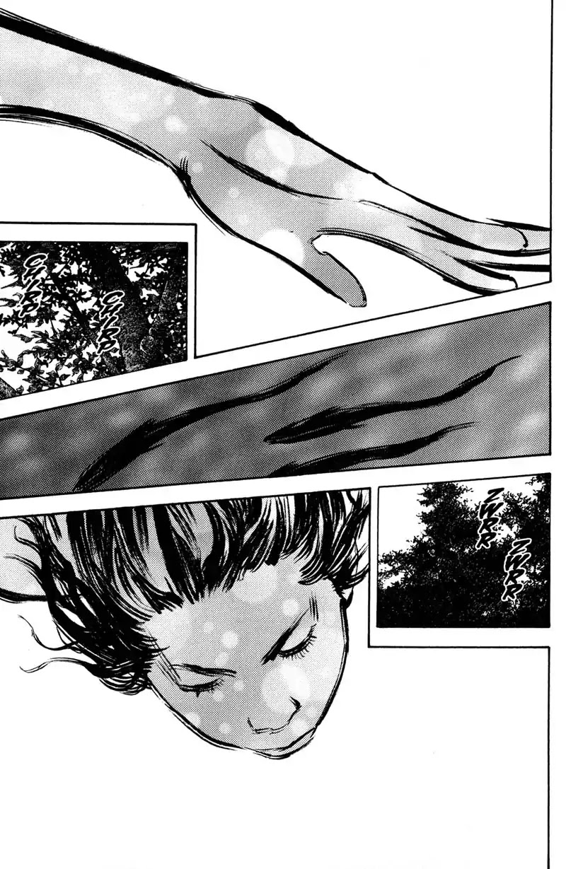 Vagabond manga, chapter 207, page 24 of 29