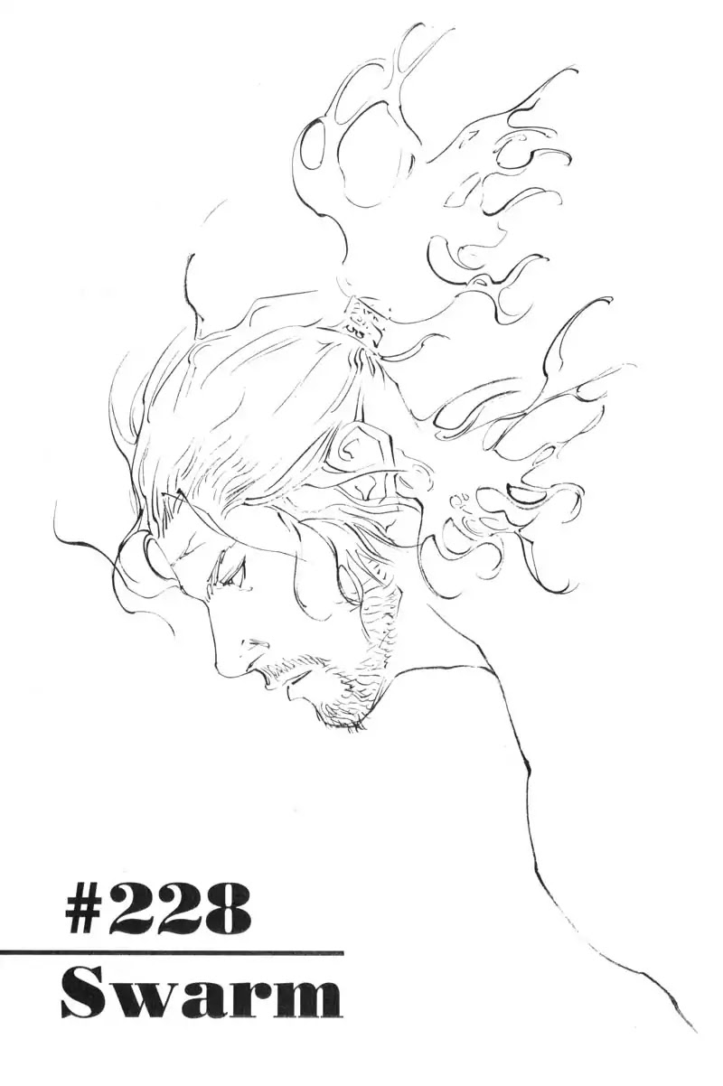 Vagabond manga, chapter 228, page 1 of 21
