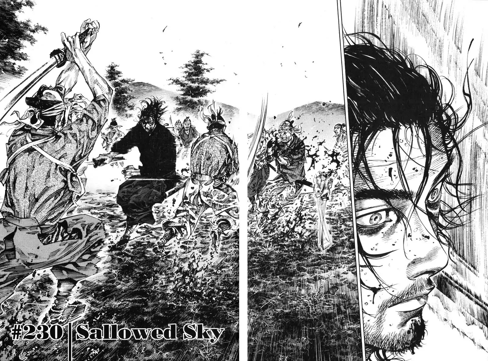 Vagabond manga, chapter 230, page 2 of 19