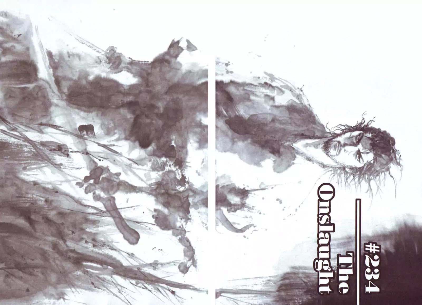 Vagabond manga, chapter 234, page 5 of 23