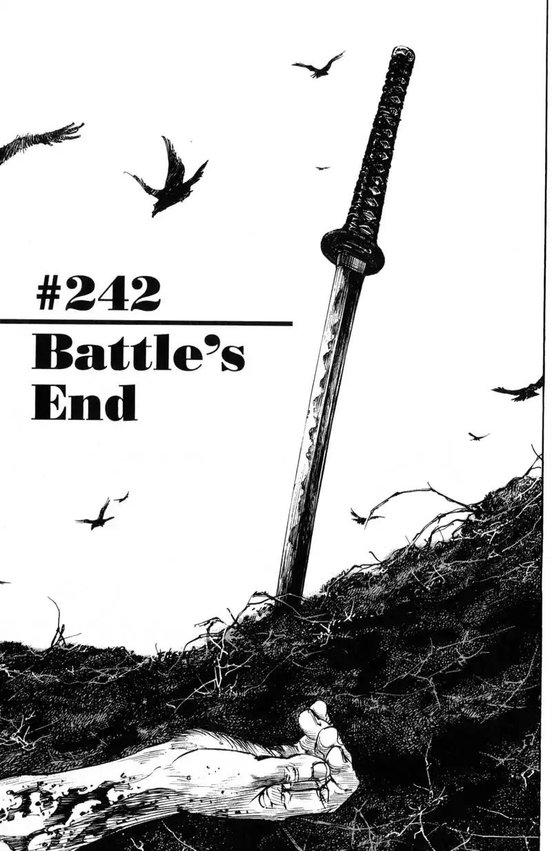 Vagabond Chapter 242 page 1 - Chapter 242: Battle's End