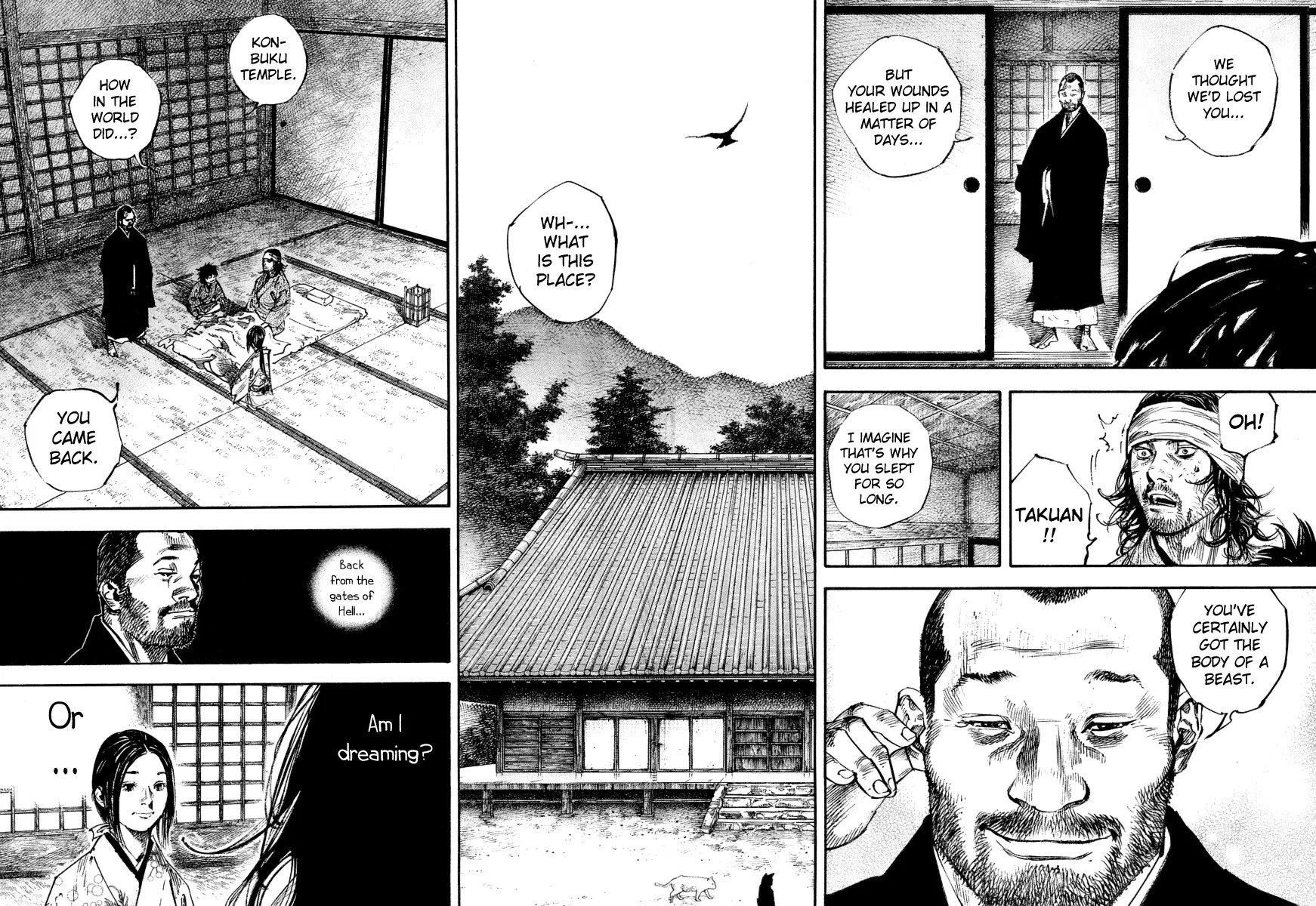 Vagabond manga, chapter 244, page 9 of 22