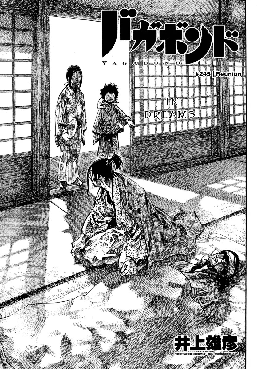 Vagabond manga, chapter 245, page 1 of 16