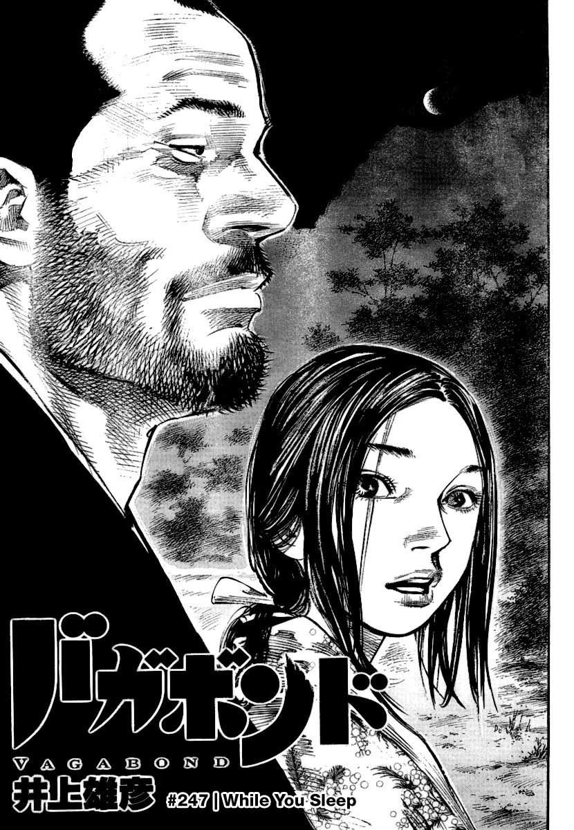 Vagabond Chapter 247 page 5 - Chapter 247: While You Sleep