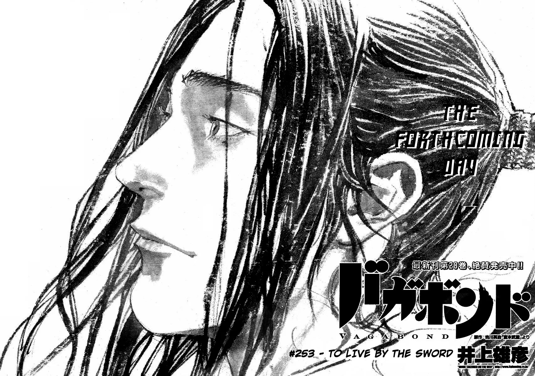 Vagabond Chapter 253 page 3 - Chapter 253: To Live by the Sword