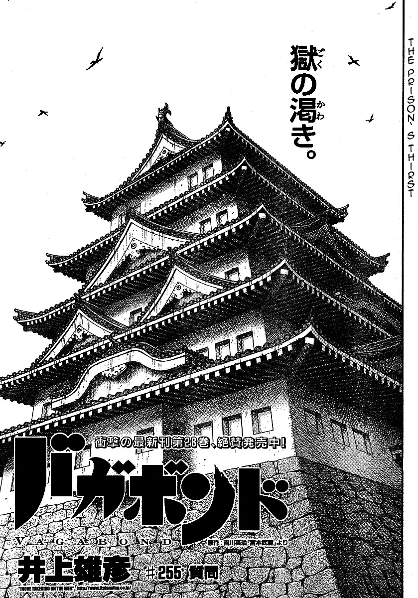 Vagabond Chapter 255 page 1 - Chapter 255: Questions