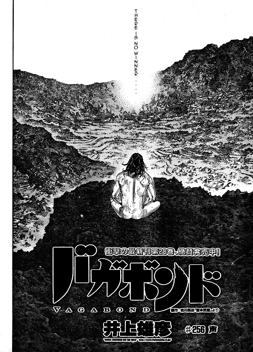 Vagabond manga, chapter 256, page 4 of 20