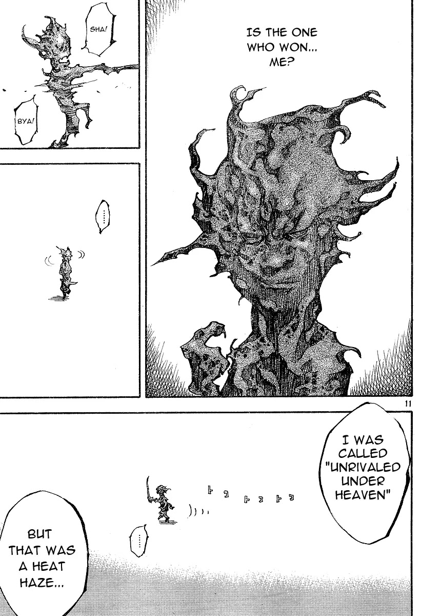 Vagabond manga, chapter 265, page 11 of 20