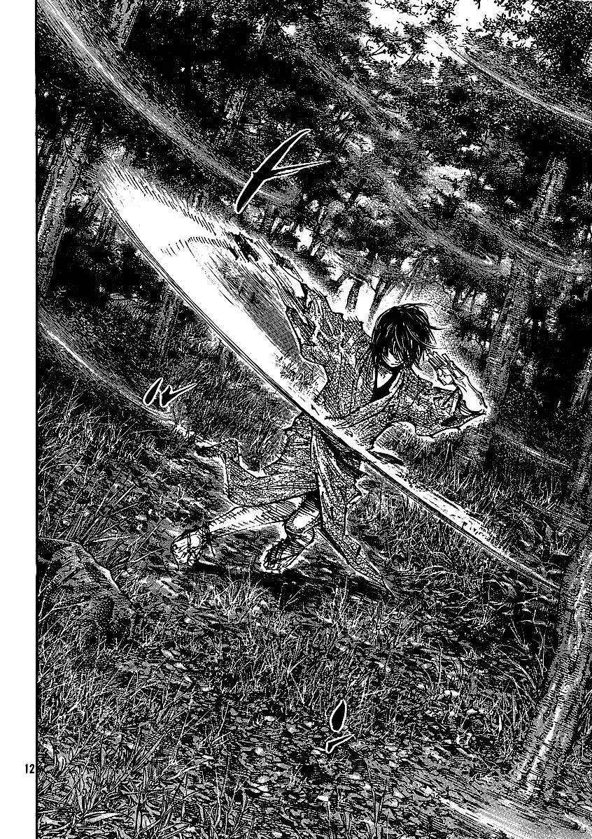 Vagabond manga, chapter 282, page 12 of 20