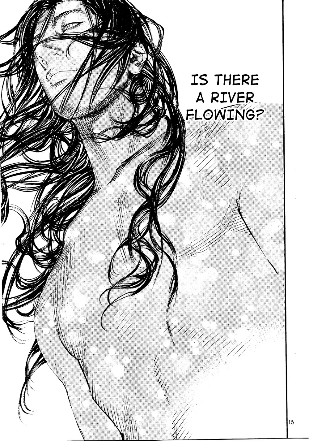 Vagabond manga, chapter 290, page 15 of 17