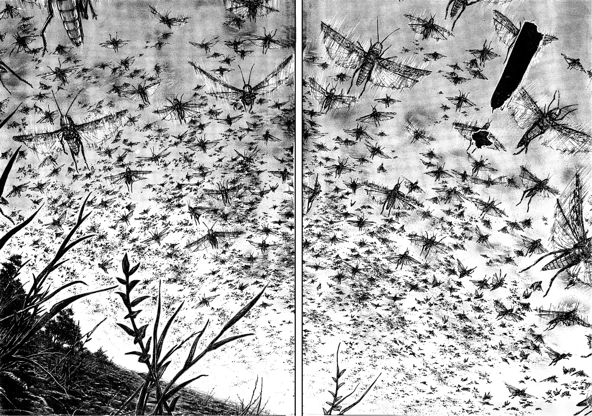 Vagabond manga, chapter 309, page 4 of 32