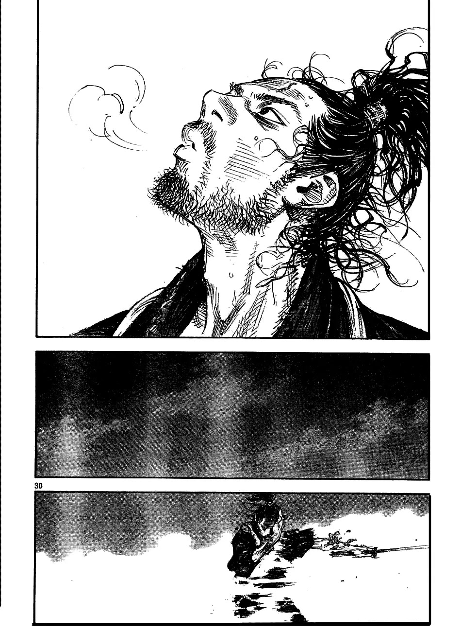 Vagabond manga, chapter 311, page 29 of 34