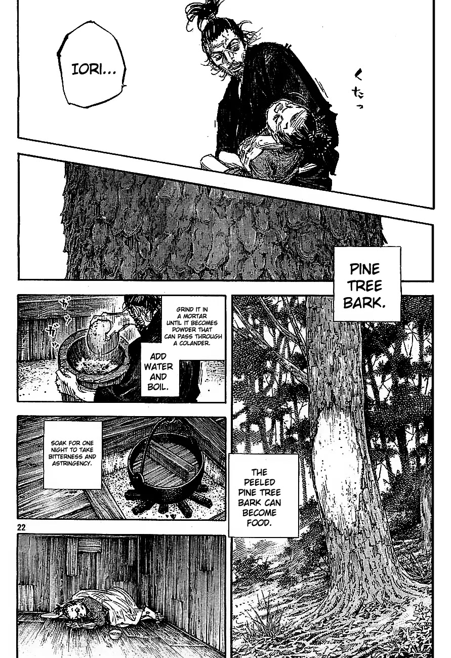 Vagabond manga, chapter 315, page 21 of 35