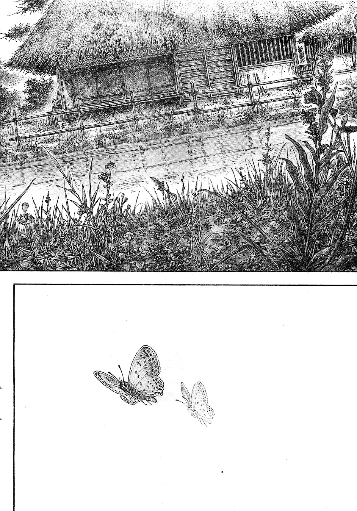 Vagabond Chapter 318 page 2 - Chapter 318: Rice Seeplings
