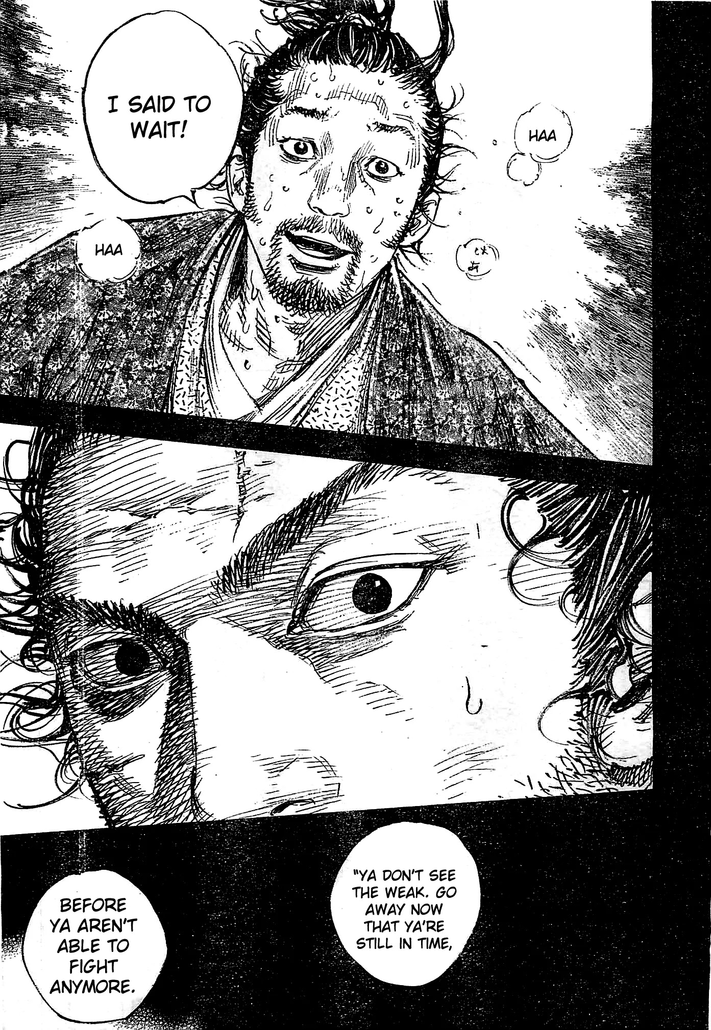 Vagabond manga, chapter 320, page 17 of 27