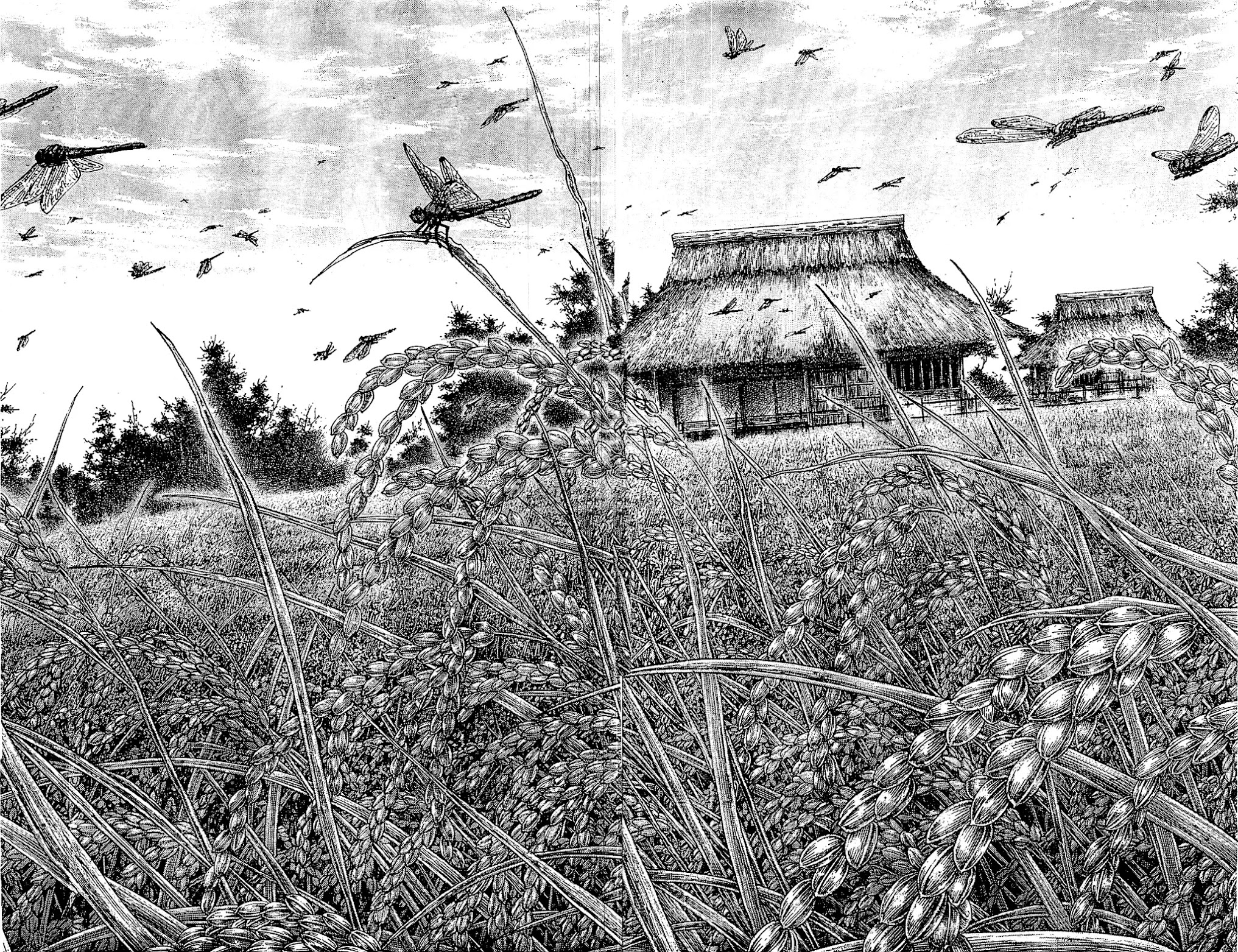 Vagabond manga, chapter 322, page 20 of 26