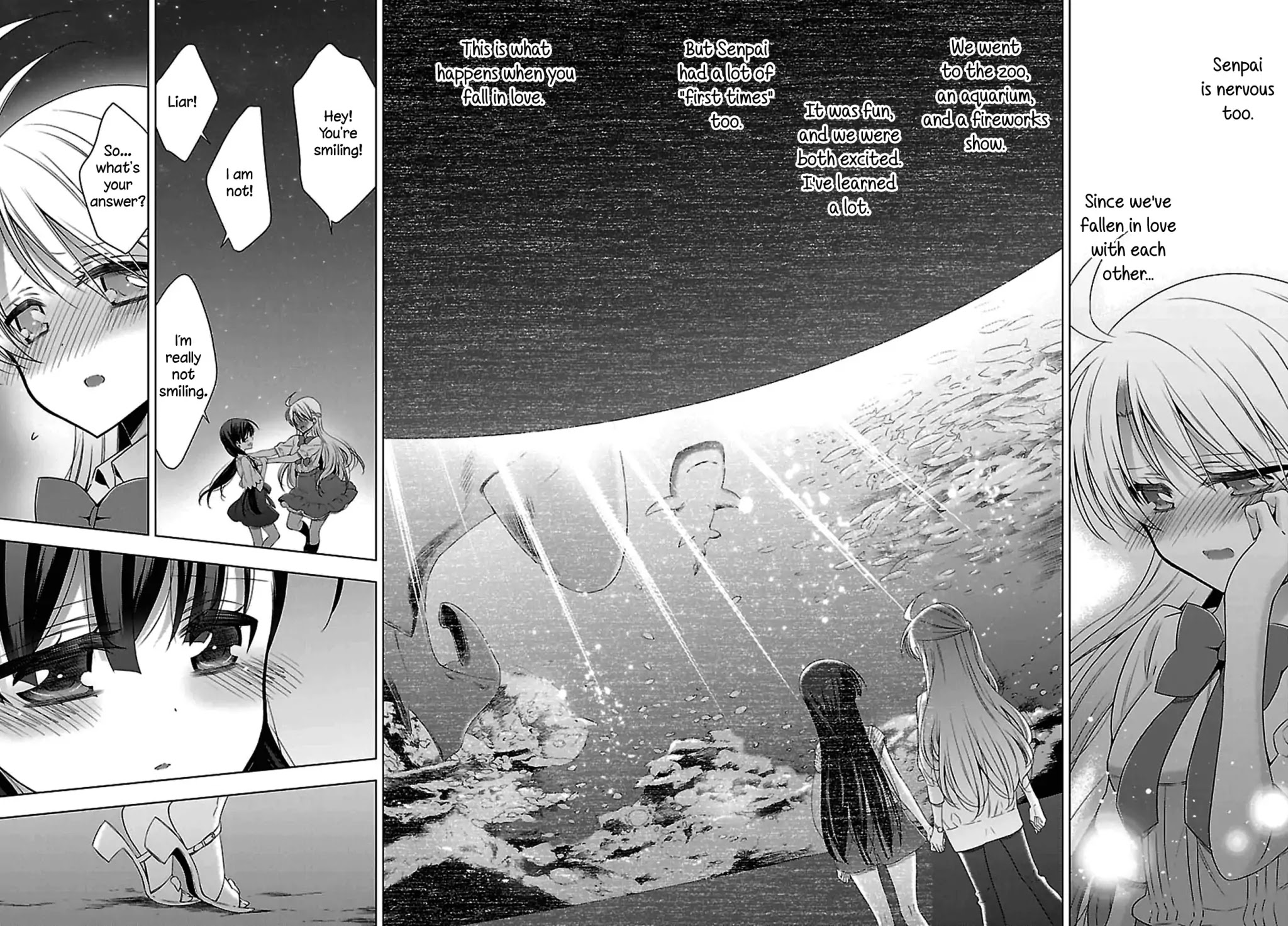 Vampire-chan x Junior-chan Chapter 12 page 24 - Chapter 12: Twelfth Night: Under a Sky Filled with Stars