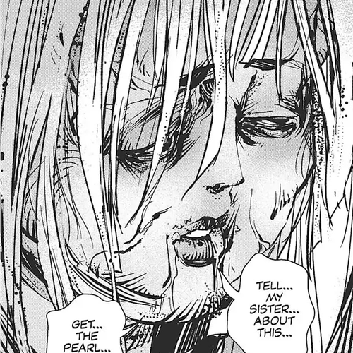 Vampire Hunter D Chapter 30 cover