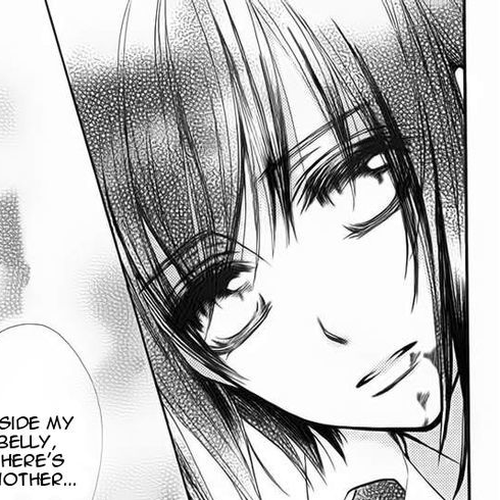 Vampire Knight Memories Chapter 1 : Life (revised version) cover