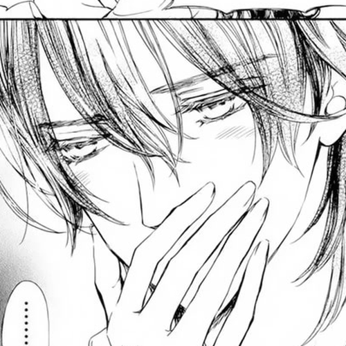 Vampire Knight Memories Chapter 37.5 cover