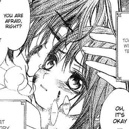 Vampire Knight Chapter 11 : Memories of Snow, Blood, and Tenderness cover